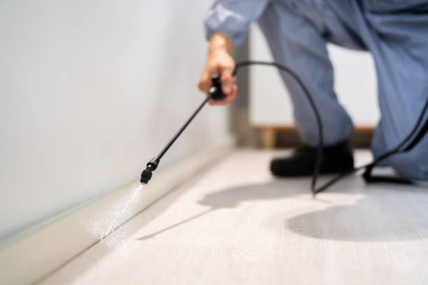 Rodent Entry Point Assessment in Isanti