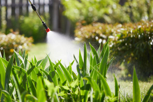 Tamper-Resistant Bait Stations for Rodents in Isanti