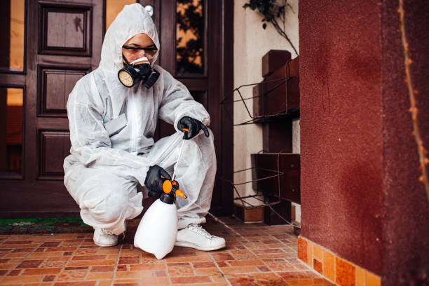 Attic and Crawl Space Rodent Treatment in Isanti