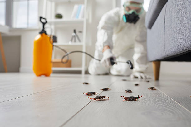 Commercial Rodent Management in Isanti